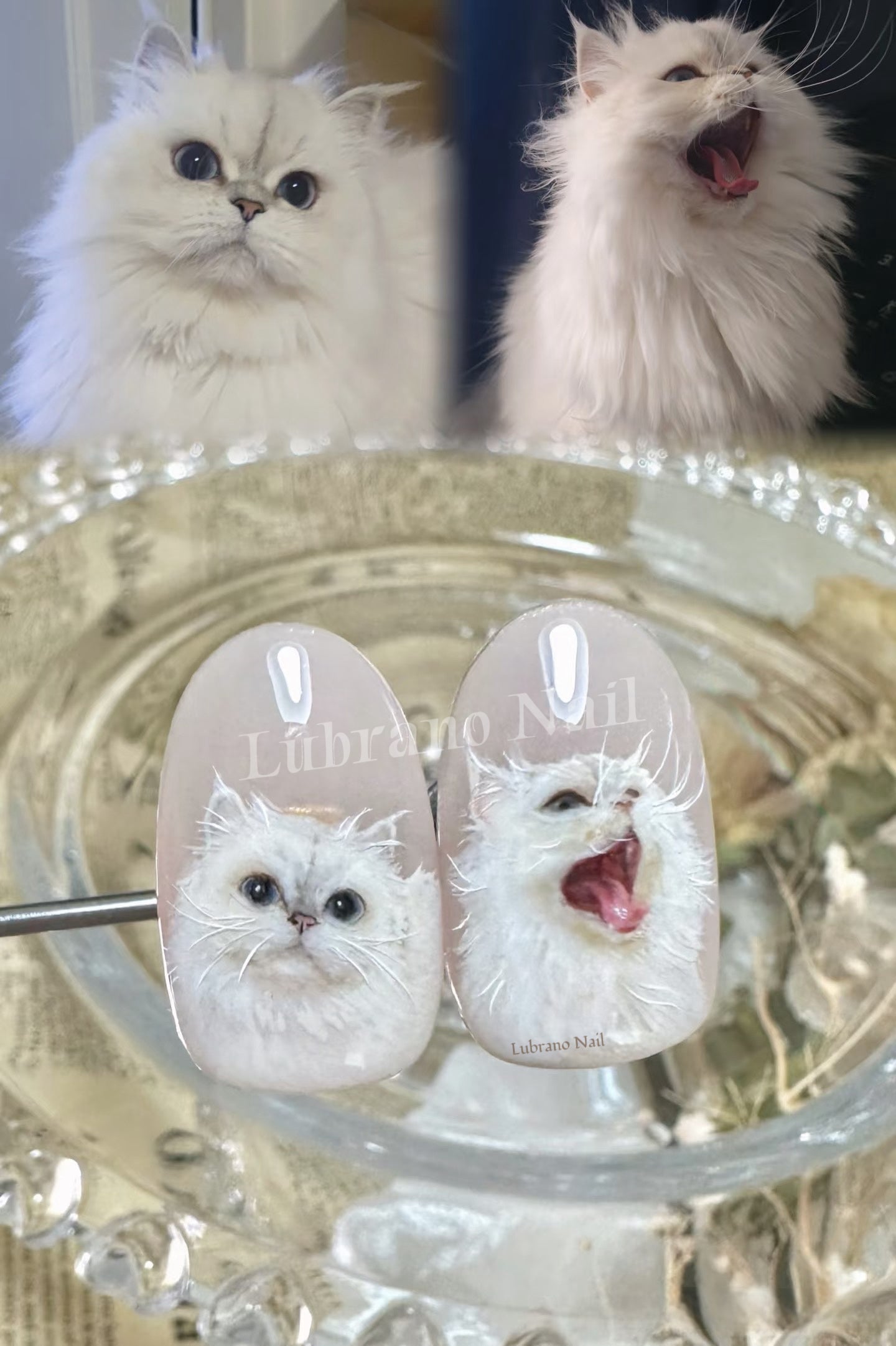 Custom Pet Press-On Nails